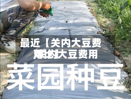 最近【关内大豆费用,关内大豆费用对比】-第2张图片