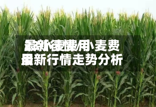 23小麦费用
最新行情/小麦费用
最新行情走势分析