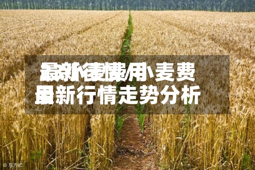 23小麦费用
最新行情/小麦费用
最新行情走势分析-第2张图片
