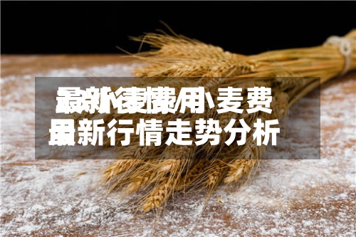 23小麦费用
最新行情/小麦费用
最新行情走势分析-第3张图片