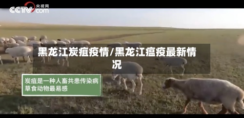 黑龙江炭疽疫情/黑龙江瘟疫最新情况-第2张图片