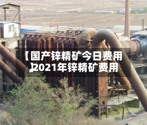 【国产锌精矿今日费用
,2021年锌精矿费用
】-第3张图片