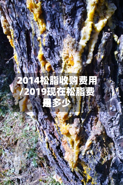 2014松脂收购费用
/2019现在松脂费用
是多少-第2张图片
