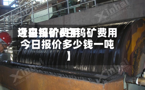 近来
【白钨矿费用
今日报价6白钨矿费用
今日报价多少钱一吨】-第3张图片