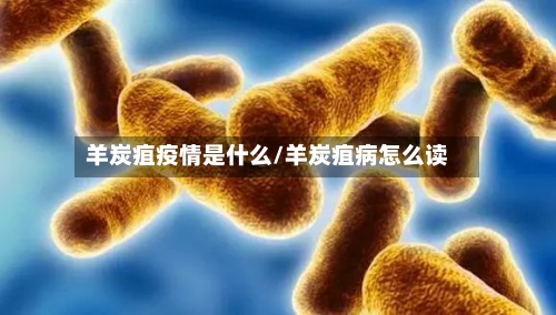羊炭疽疫情是什么/羊炭疽病怎么读-第3张图片