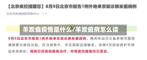 羊炭疽疫情是什么/羊炭疽病怎么读-第2张图片