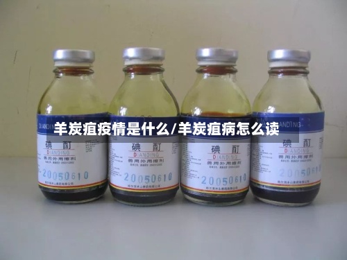 羊炭疽疫情是什么/羊炭疽病怎么读