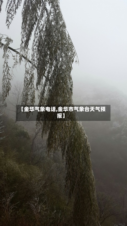 【金华气象电话,金华市气象台天气预报】