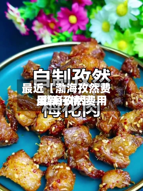 最近【渤海孜然费用
,渤海孜然费用
最新行情】