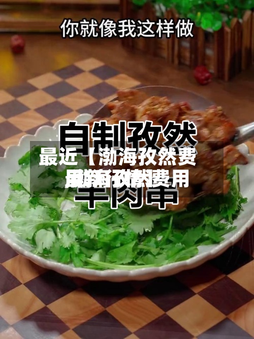 最近【渤海孜然费用
,渤海孜然费用
最新行情】-第3张图片