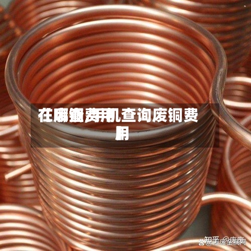 【废铜费用在哪查,手机查询废铜费用】-第2张图片