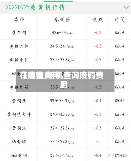 【废铜费用在哪查,手机查询废铜费用】