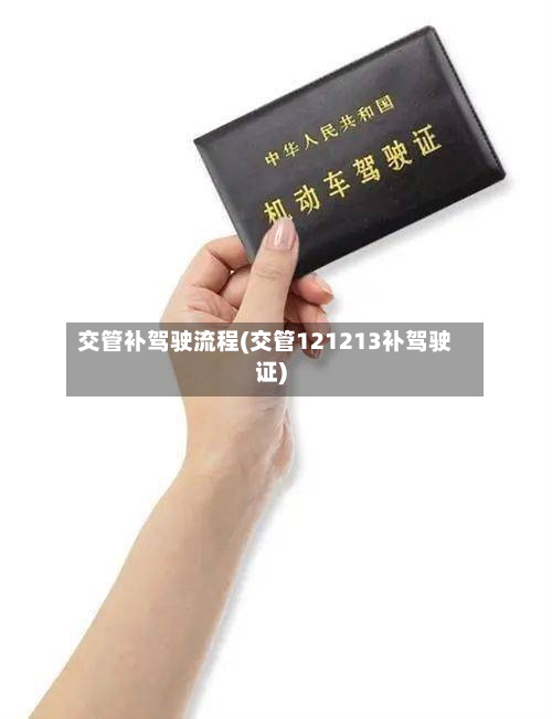 交管补驾驶流程(交管121213补驾驶证)-第2张图片