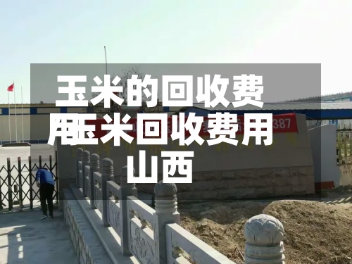 玉米的回收费用/玉米回收费用山西