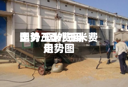 国外玉米费用走势/国外玉米费用走势图