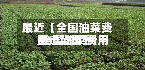 最近【全国油菜费用
,全国油菜费用
的走势图】