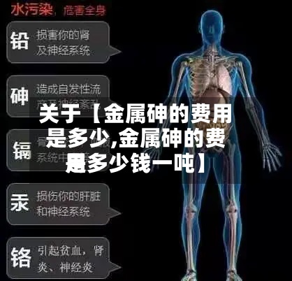 关于【金属砷的费用是多少,金属砷的费用是多少钱一吨】-第2张图片
