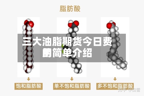 三大油脂期货今日费用
的简单介绍