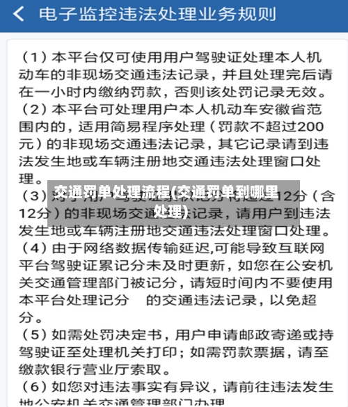 交通罚单处理流程(交通罚单到哪里处理)-第2张图片