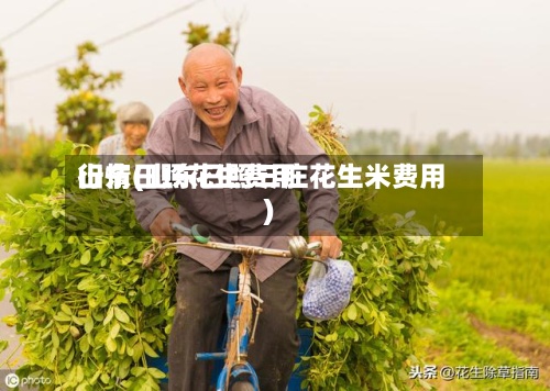 山东日照花生费用行情(山东日照三庄花生米费用)-第2张图片