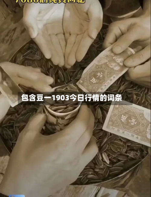 包含豆一1903今日行情的词条-第2张图片