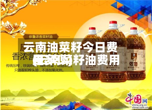 云南油菜籽今日费用
(云南菜籽油费用
是多少)