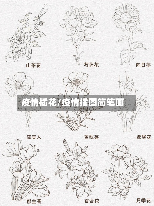 疫情插花/疫情插图简笔画-第2张图片
