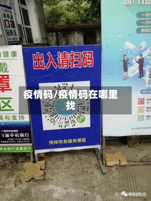 疫情码/疫情码在哪里找