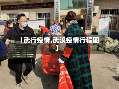 【武行疫情,武汉疫情行程图】
