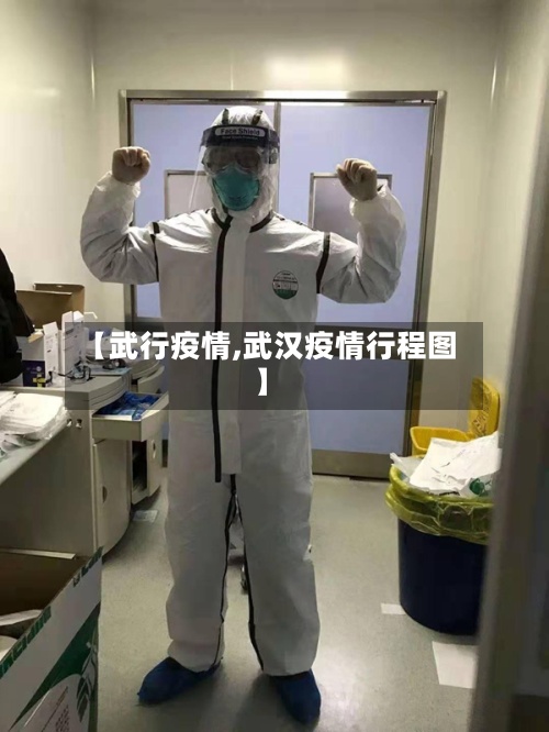 【武行疫情,武汉疫情行程图】-第2张图片