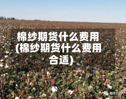 棉纱期货什么费用
(棉纱期货什么费用
合适)