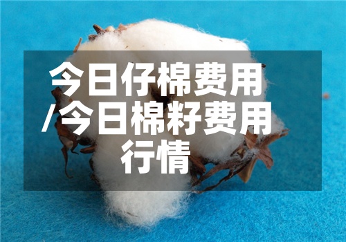 今日仔棉费用
/今日棉籽费用
行情-第2张图片