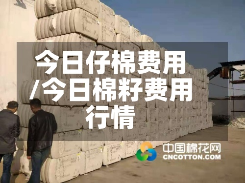 今日仔棉费用/今日棉籽费用行情