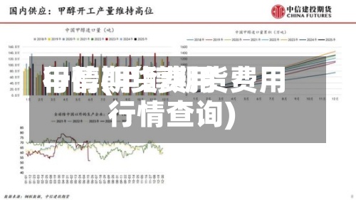 甲醇期货费用
行情(甲醇期货费用
行情查询)
