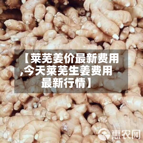 【莱芜姜价最新费用,今天莱芜生姜费用最新行情】
