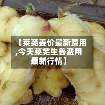 【莱芜姜价最新费用
,今天莱芜生姜费用
最新行情】-第2张图片