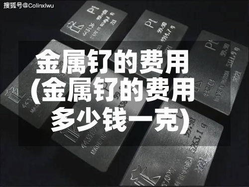 金属钌的费用(金属钌的费用多少钱一克)-第2张图片