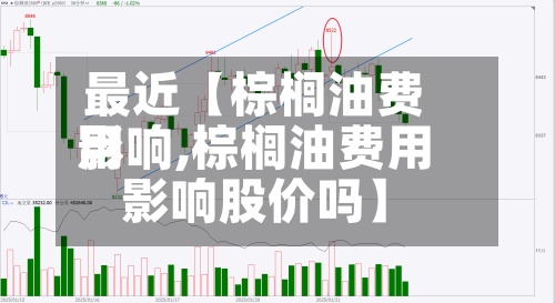 最近【棕榈油费用影响,棕榈油费用影响股价吗】-第2张图片