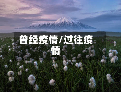 曾经疫情/过往疫情
