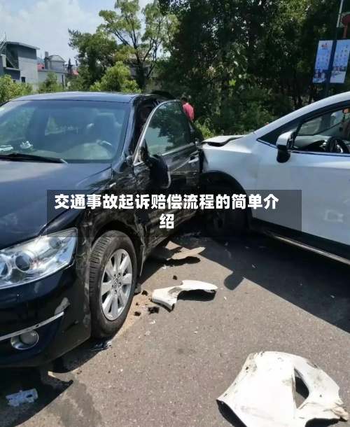 交通事故起诉赔偿流程的简单介绍-第2张图片