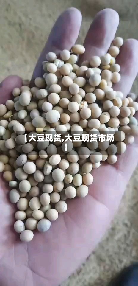 【大豆现货,大豆现货市场】-第2张图片