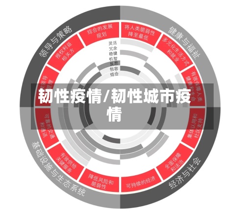 韧性疫情/韧性城市疫情-第3张图片