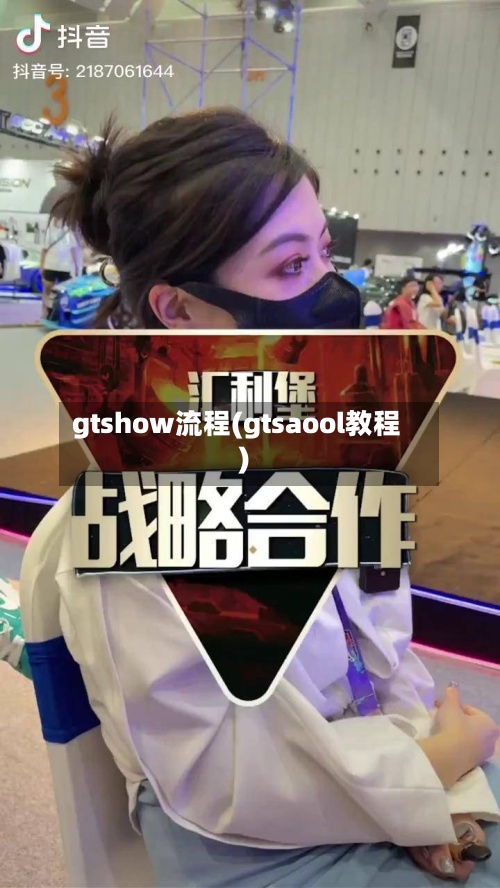 gtshow流程(gtsaool教程)
