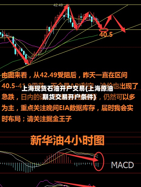 上海现货石油开户交易(上海原油期货交易开户条件)-第3张图片