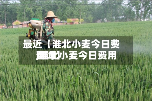 最近【淮北小麦今日费用
,淮北小麦今日费用
查询】-第2张图片