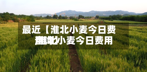 最近【淮北小麦今日费用,淮北小麦今日费用查询】