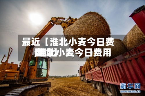 最近【淮北小麦今日费用
,淮北小麦今日费用
查询】-第3张图片