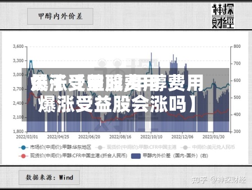 关于【甲醇费用爆涨受益股,甲醇费用爆涨受益股会涨吗】