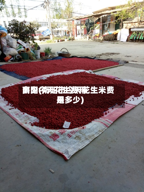 南阳今天花生费用
多少(南阳市今天花生米费用
是多少)-第2张图片