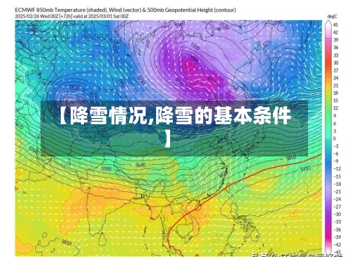 【降雪情况,降雪的基本条件】